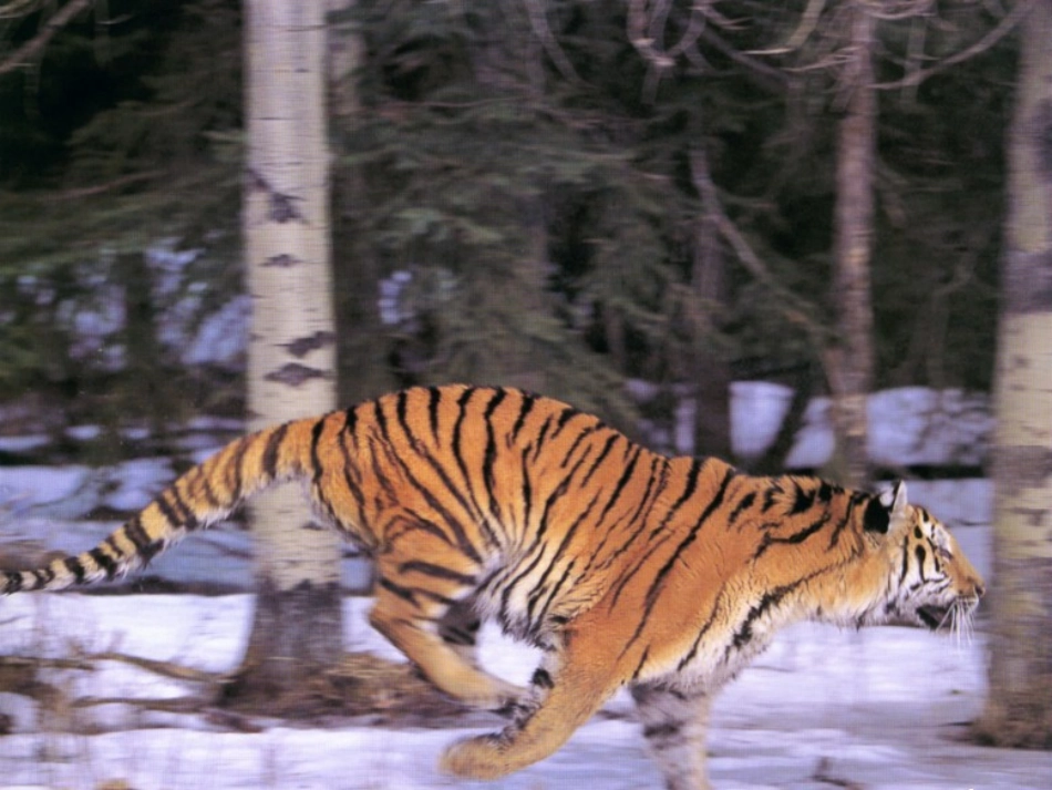 谢敏慧(恢复)_第2页