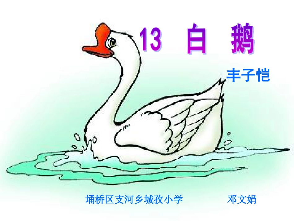 白鹅教学课件_第1页