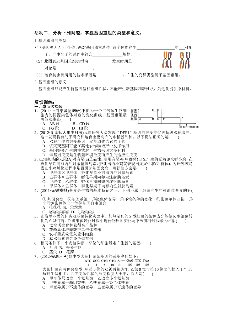 基因突变和基因重组_第2页