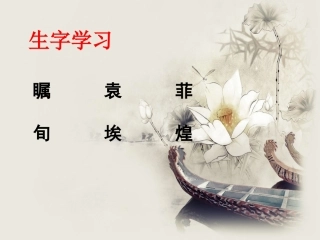 《中国魔稻》生字学习