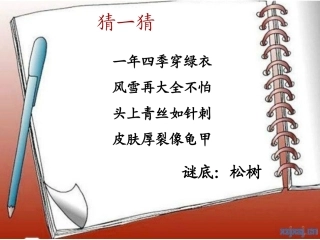 《小松树和大松树》课件(苏教版一年级语文下册课件)