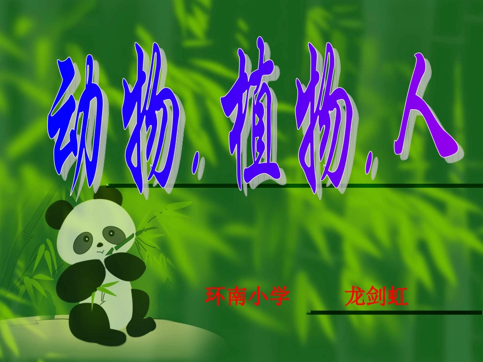 《动物植物人》_第1页