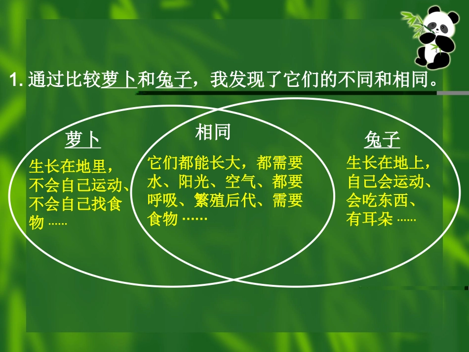 《动物植物人》_第3页