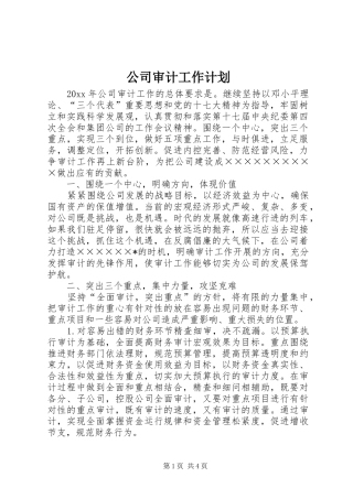 公司审计工作计划