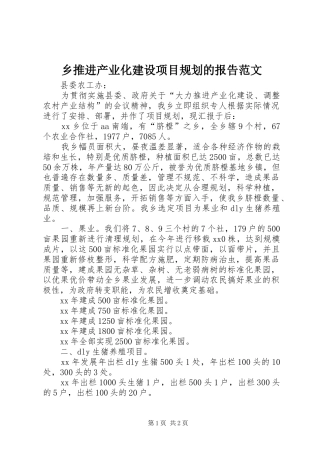 乡推进产业化建设项目规划的报告范文