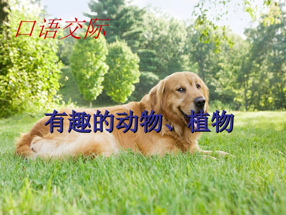 有趣的动植物_第1页