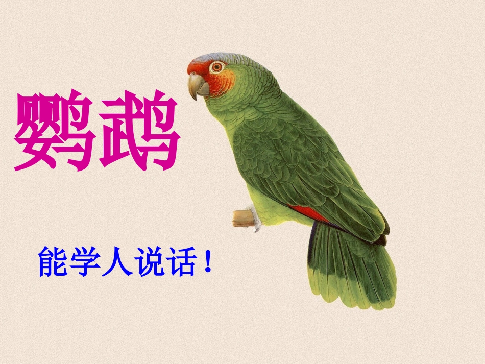 有趣的动植物_第2页