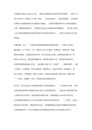 中海油工作总结