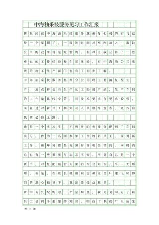 中海油采技服务见习工作汇报精品工作报告