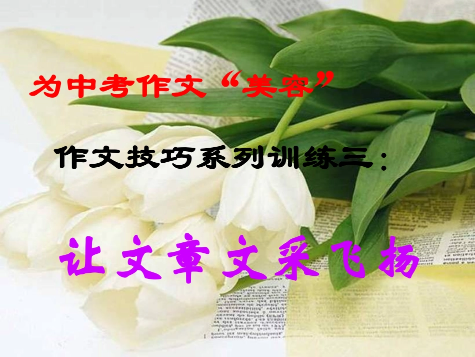 中考作文指导让文章文采飞扬_第2页