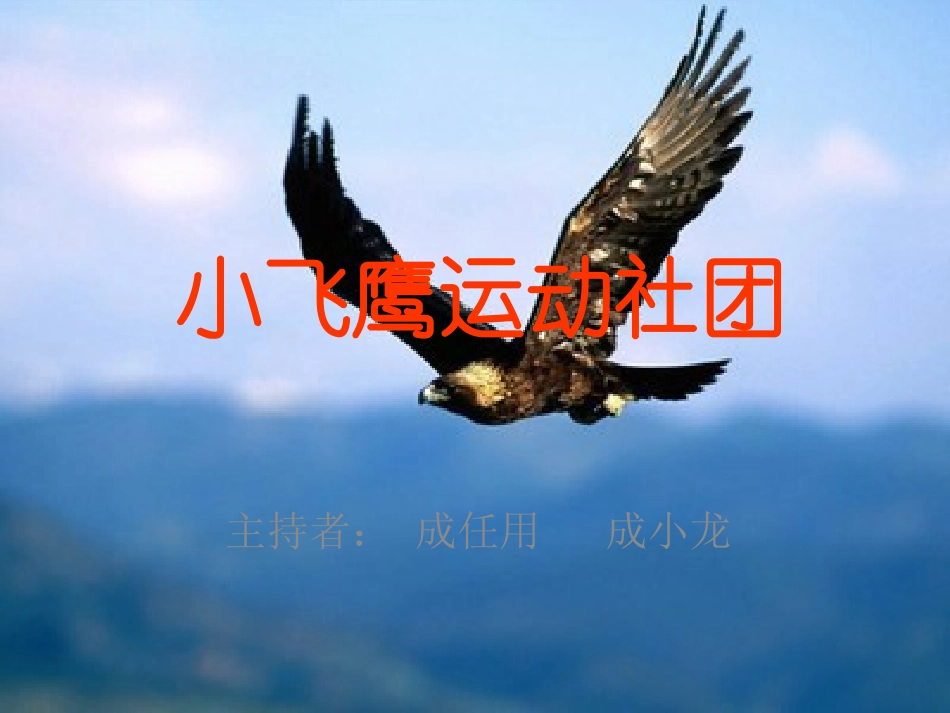 小飞鹰运动社团_第1页