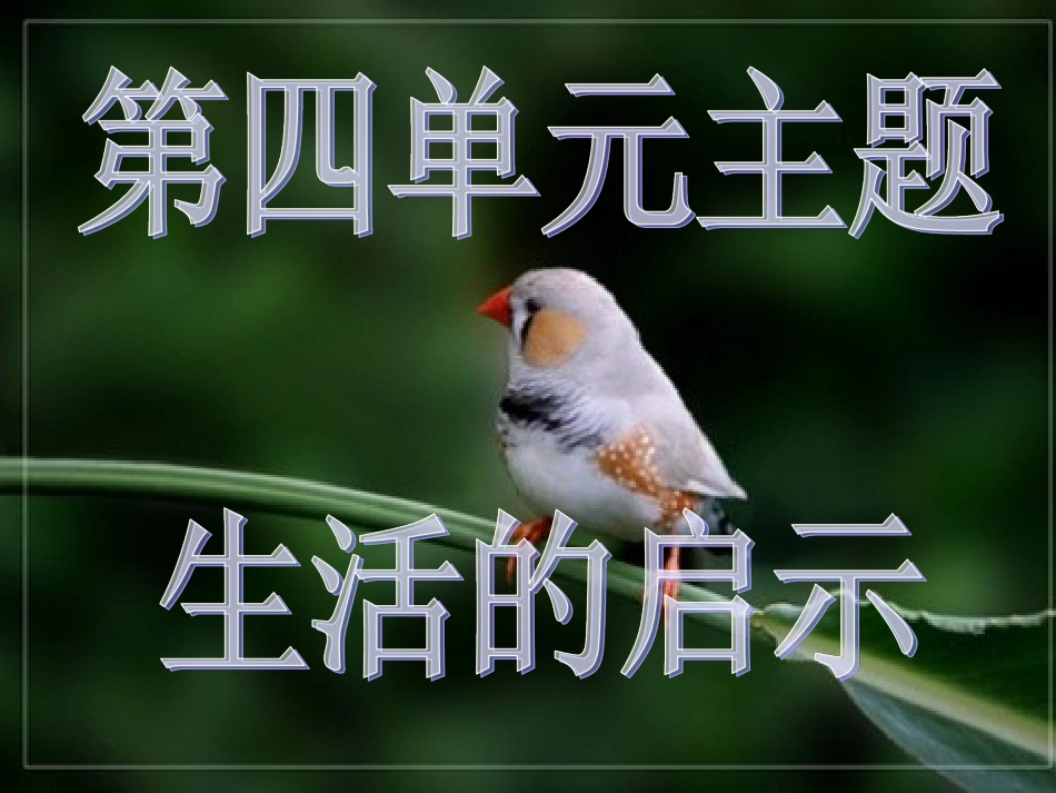 《珍珠鸟》课件_第1页