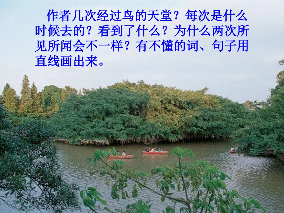 《鸟的天堂》课件_第2页