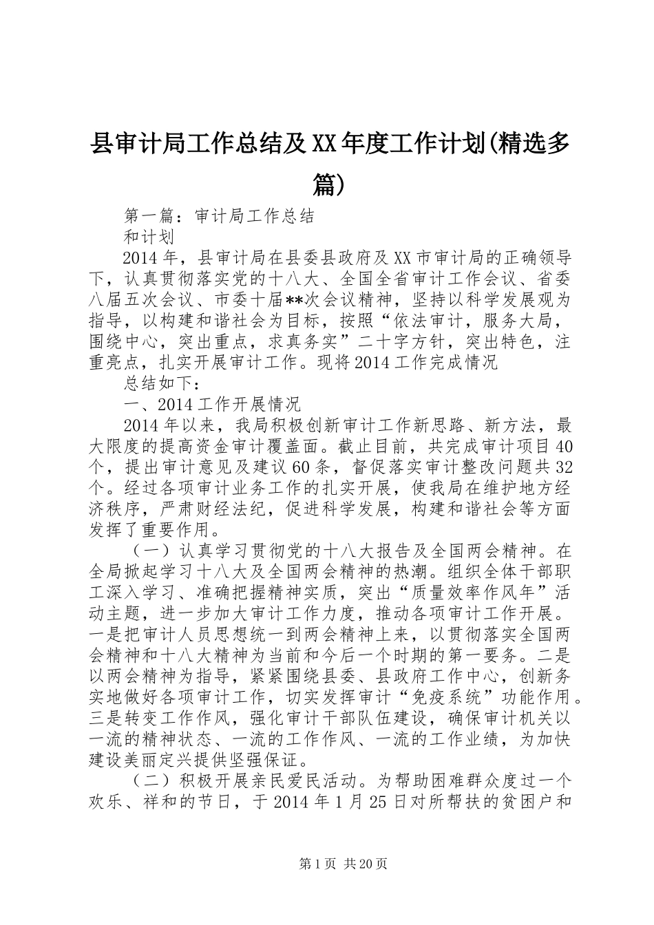 县审计局工作总结及XX年度工作计划(精选多篇)_第1页