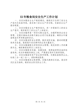 XX年粮食局安全生产工作计划_1