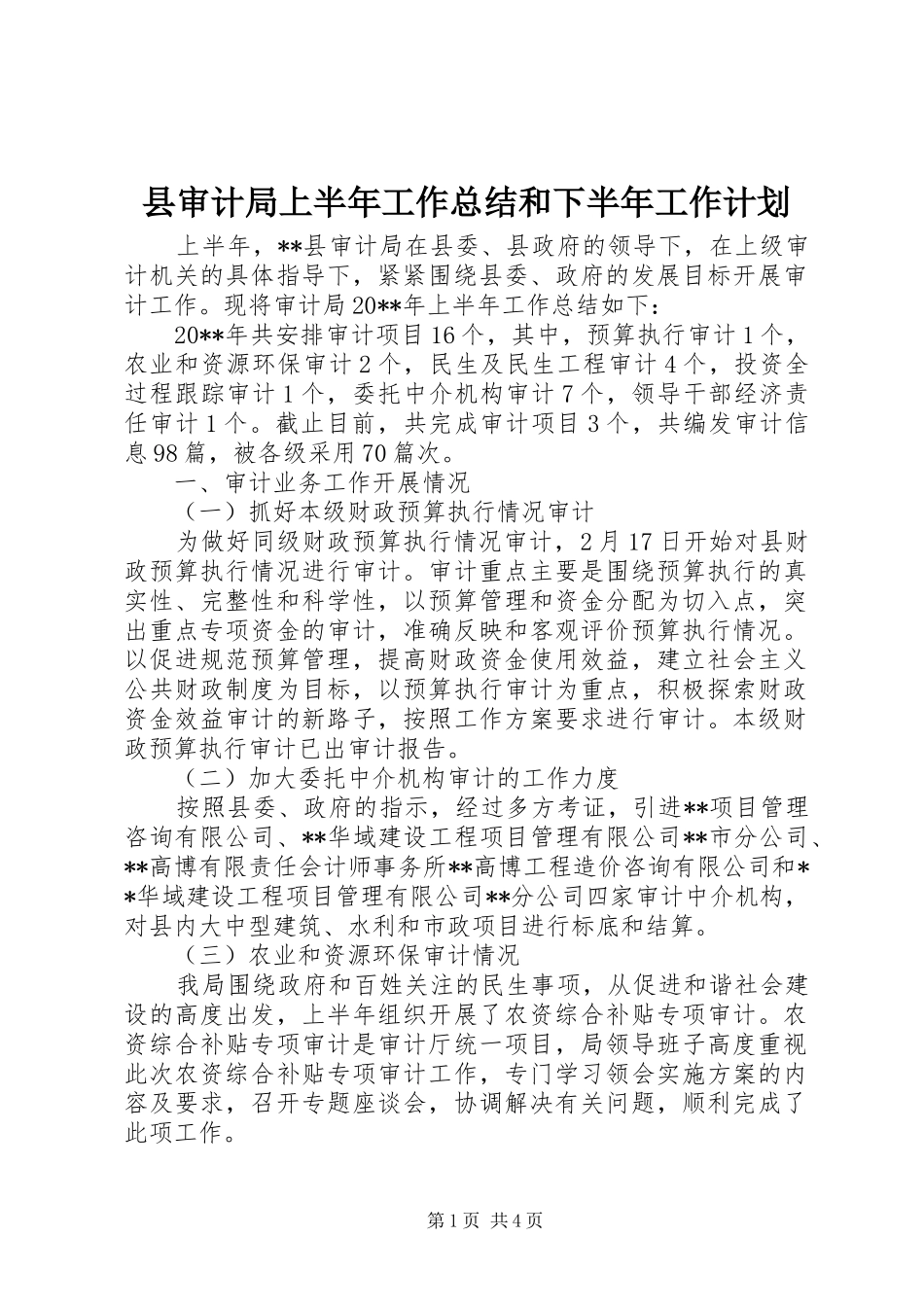 县审计局上半年工作总结和下半年工作计划_第1页