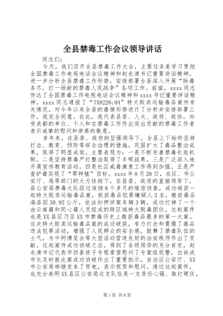 全县禁毒工作会议领导讲话