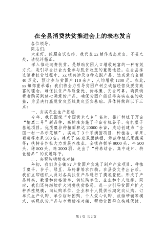 在全县消费扶贫推进会上的表态发言
