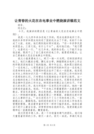 让青春的火花在农电事业中燃烧演讲稿范文