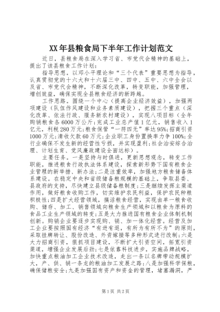 XX年县粮食局下半年工作计划范文