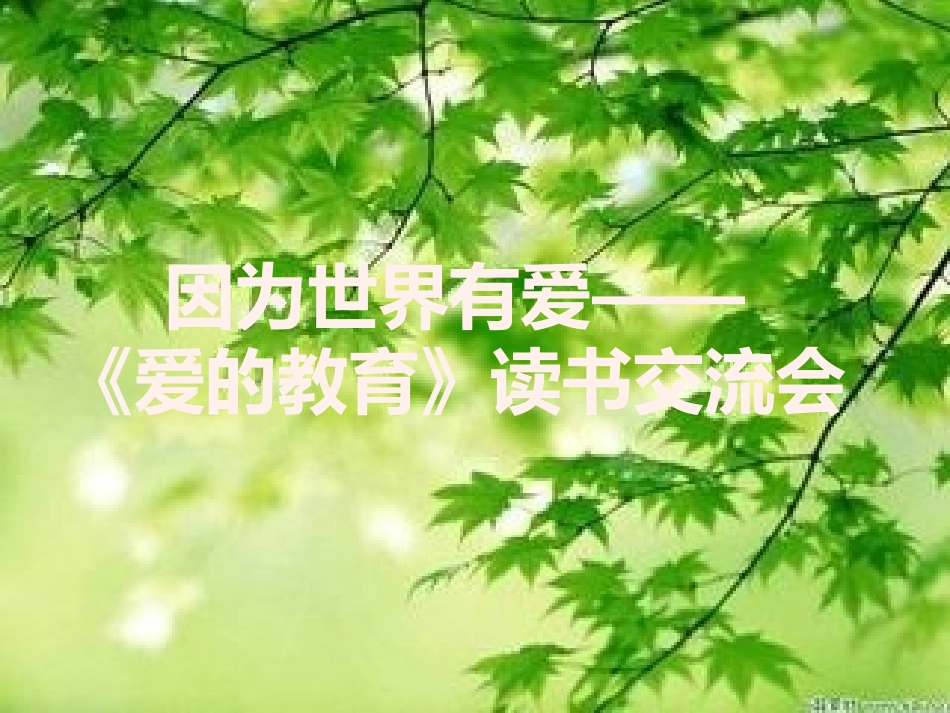 《爱的教育》潘鑫宇_第1页