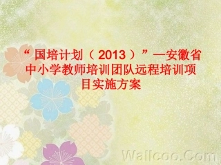 国培计划培训的实施方案PPT