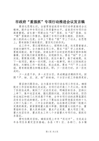 市政府“重强抓”专项行动推进会议发言稿
