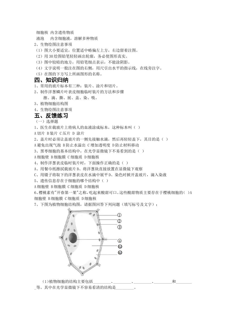 第二节观察植物细胞_第2页