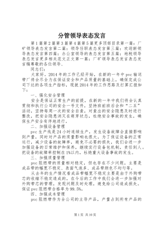 分管领导表态发言