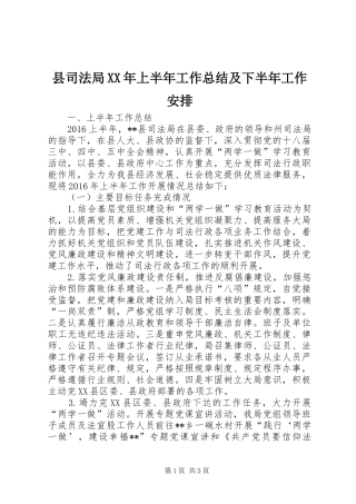 县司法局XX年上半年工作总结及下半年工作安排