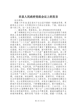在县人民政府党组会议上的发言