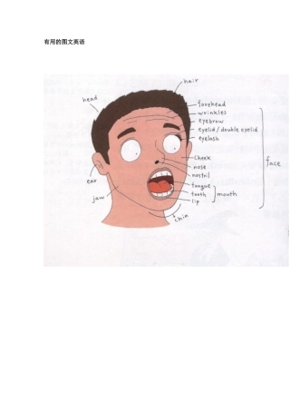 有用的图文英语