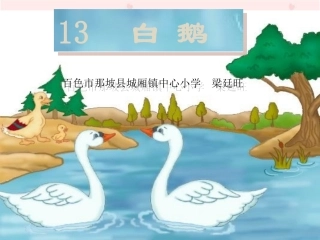 《白鹅》教学演示课件(那坡县城厢镇中心小学梁廷旺)