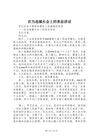 在当选镇长会上的表态讲话