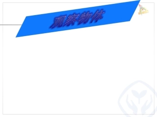 《观察物体》课件