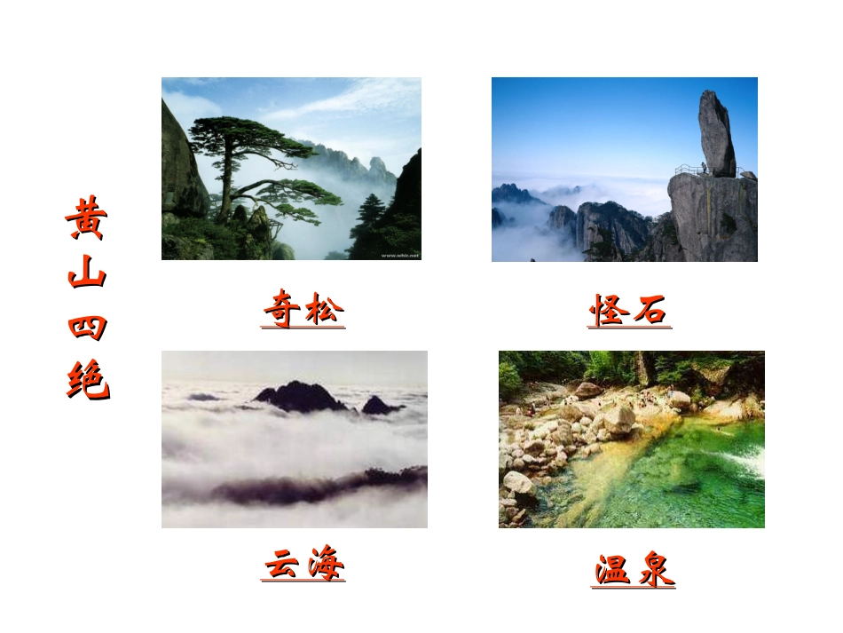 黄山奇松课件_第3页
