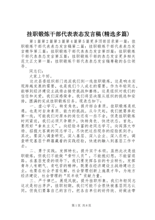 挂职锻炼干部代表表态发言稿(精选多篇)