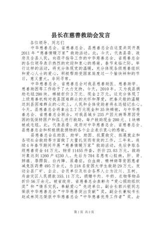 县长在慈善救助会发言