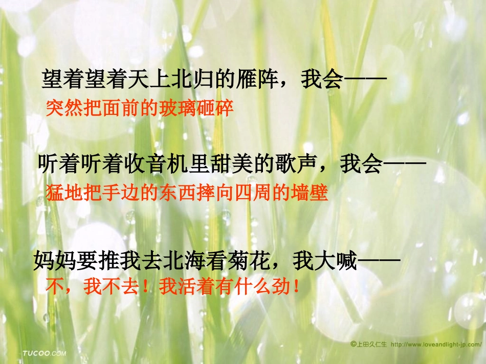 《秋天的怀念》PPT_第2页