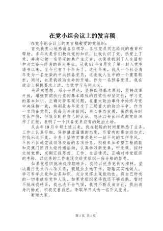在党小组会议上的发言稿