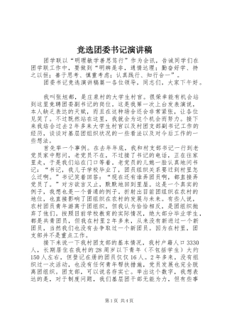 竞选团委书记演讲稿