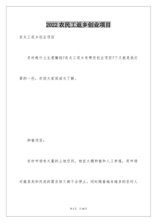 2024农民工返乡创业项目