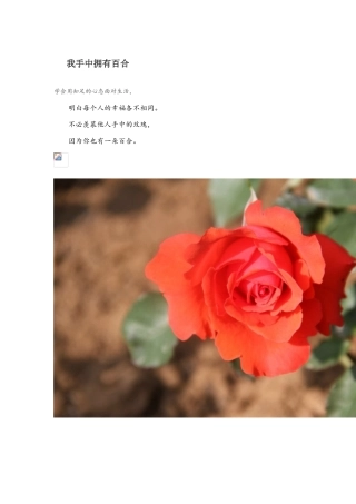 我手中拥有百合