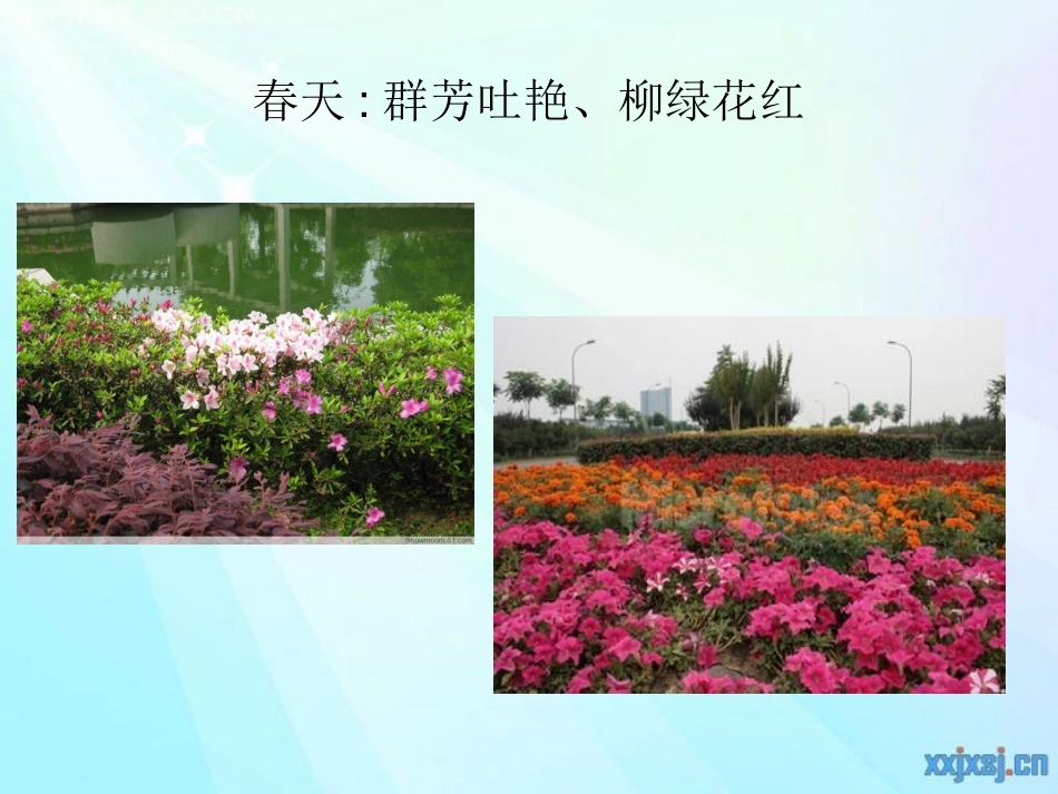 公开课第一单元作文_第2页