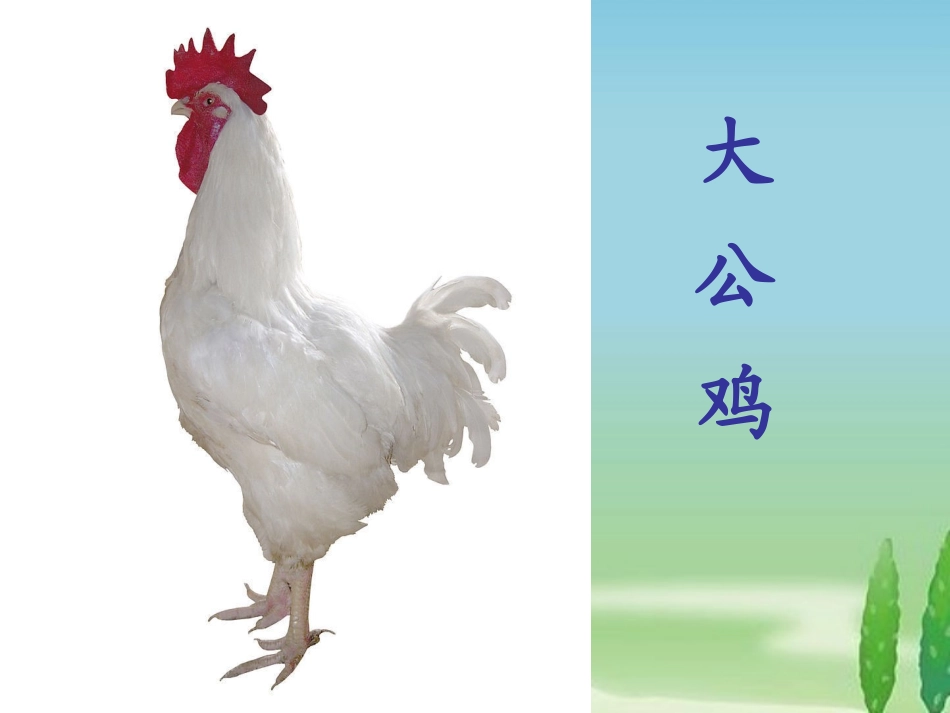 《画鸡》教学课件_第3页
