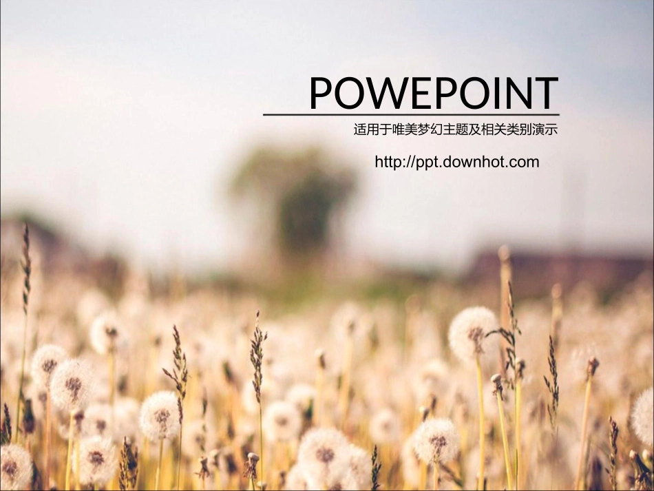 古典风格蒲公英模板_第1页