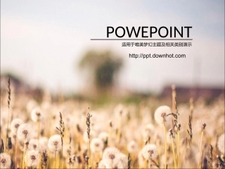 古典风格蒲公英模板