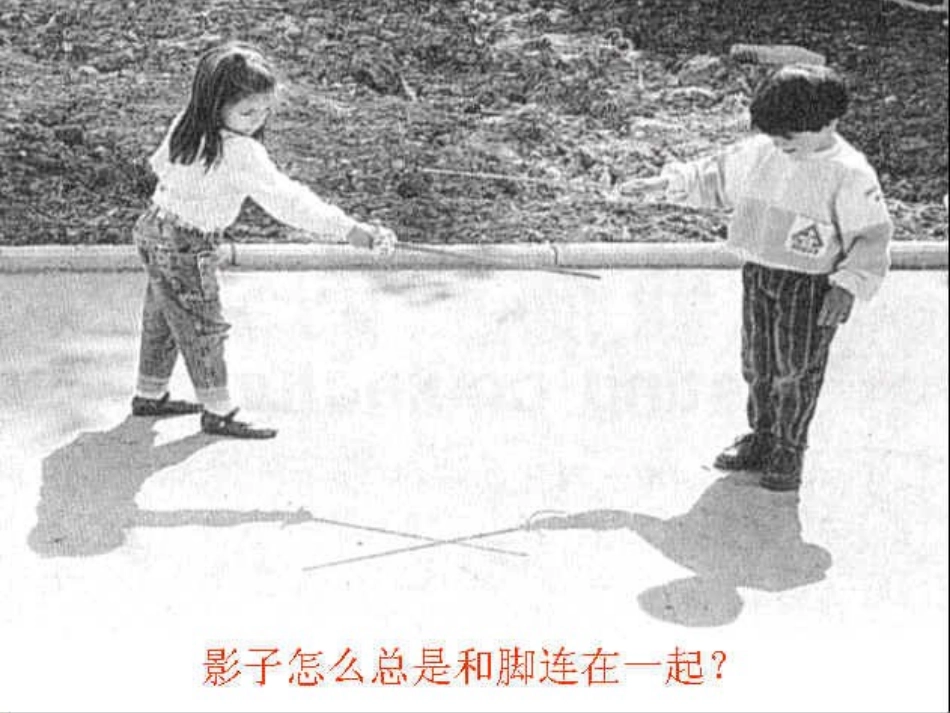 瑞吉欧课程对影子的探索_第3页