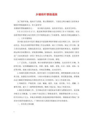 乡镇秸秆禁烧通报
