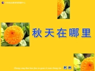 小学思品秋天在哪里嵩山道小学张婕